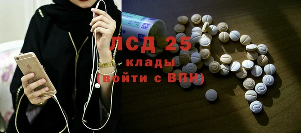 индика Беломорск