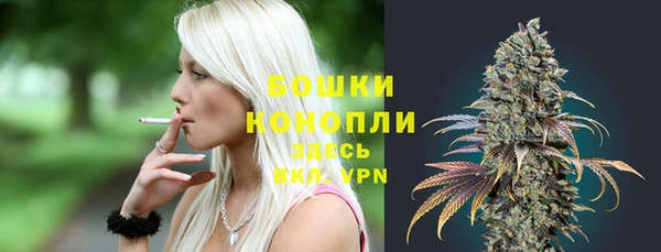 индика Беломорск