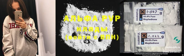 индика Беломорск