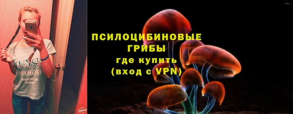 индика Беломорск