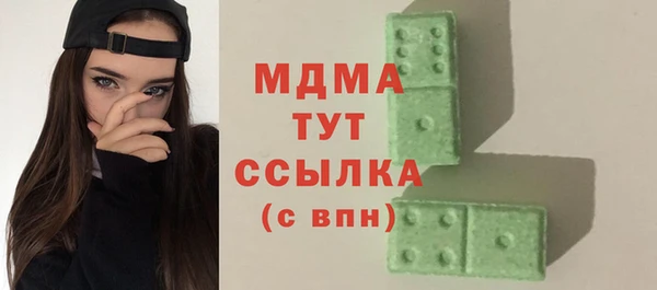 индика Беломорск