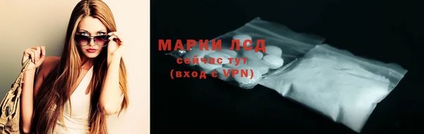 индика Беломорск