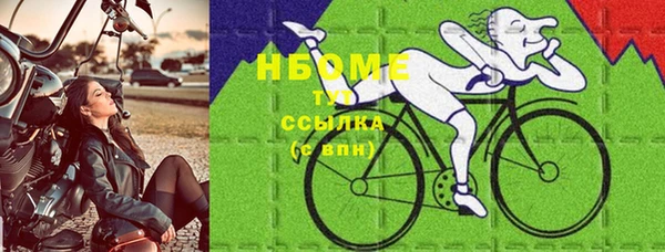 индика Беломорск