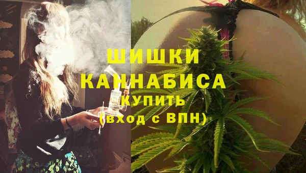 индика Беломорск