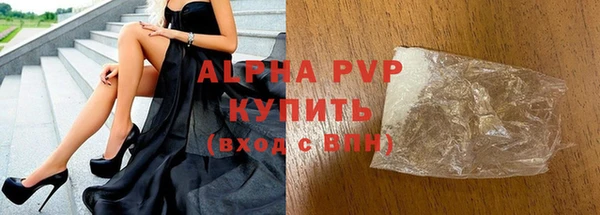 индика Беломорск