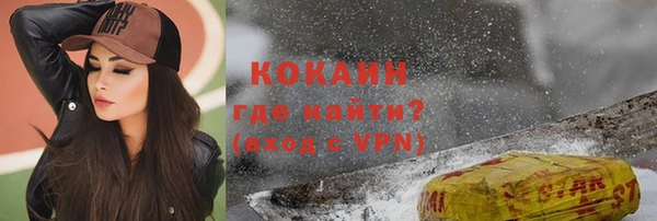 индика Беломорск