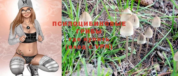 круглые Белокуриха